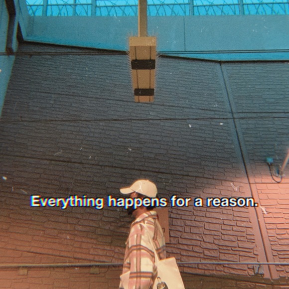 Meet your Posher, Bernardo - Picture 1 of 1